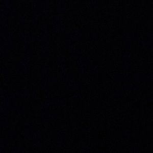 Meet your Posher, Sylvia